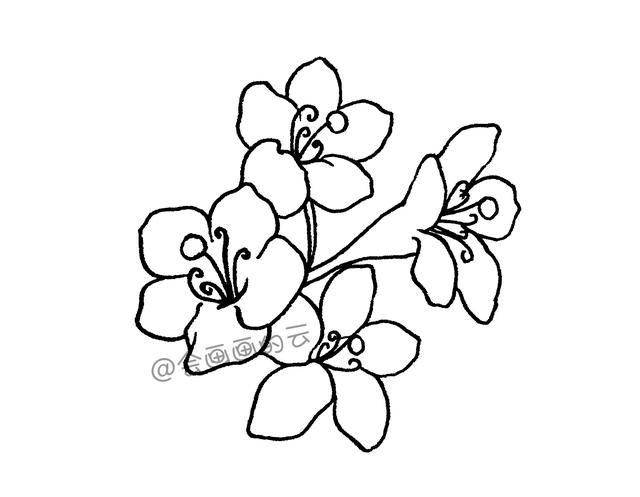 一支笔就可以画的简笔画-5.jpg