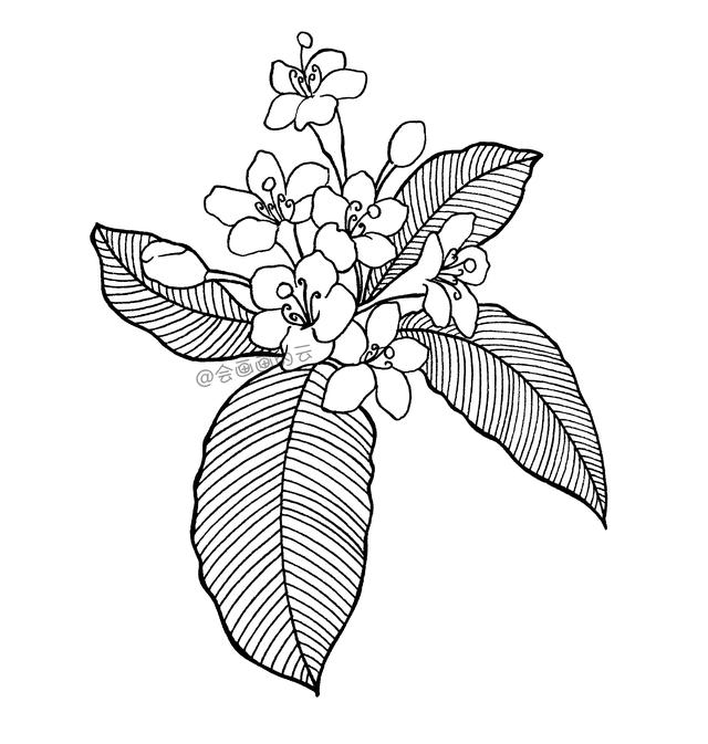 一支笔就可以画的简笔画-8.jpg