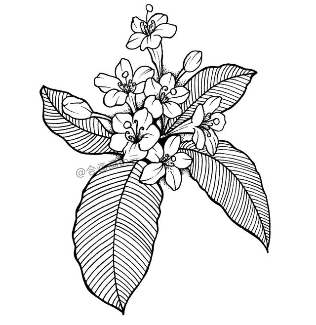 一支笔就可以画的简笔画-10.jpg