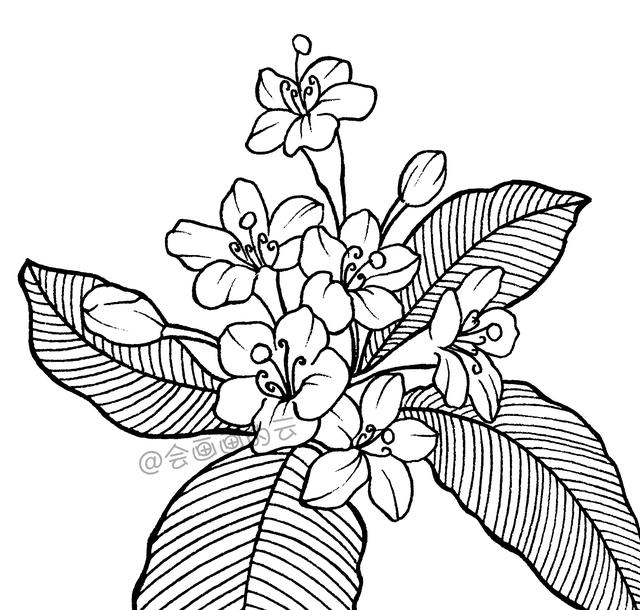 一支笔就可以画的简笔画-9.jpg