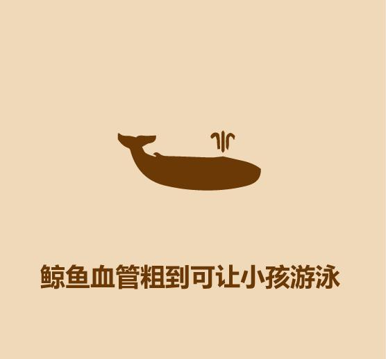 蚊子比医生准-14.jpg
