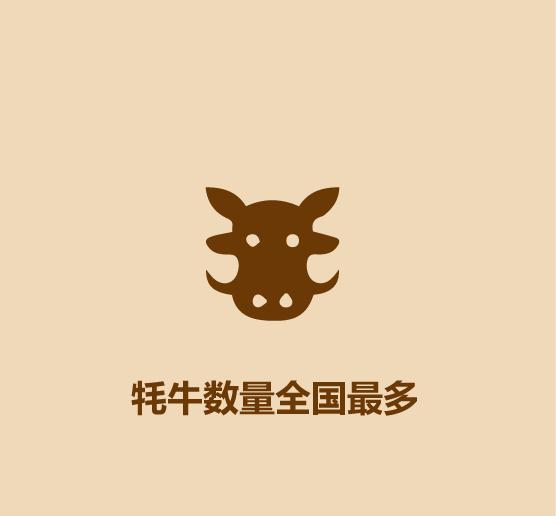 1分钟比较宁夏和青海-8.jpg