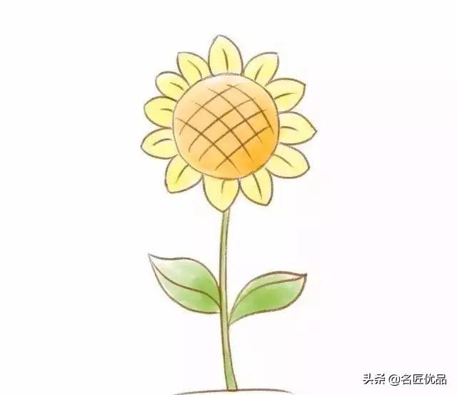创作大花园，最新幼儿园简笔画简单易学（附动图）-26.jpg