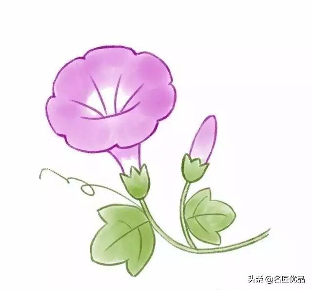 创作大花园，最新幼儿园简笔画简单易学（附动图）-27.jpg