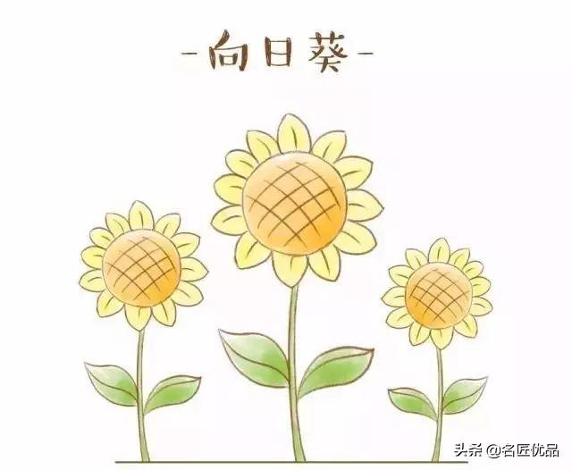 创作大花园，最新幼儿园简笔画简单易学（附动图）-22.jpg