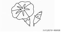 每天学一幅简笔画--牵牛花简笔画画法步骤-4.jpg