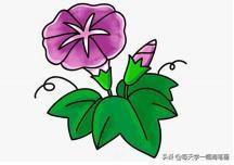 每天学一幅简笔画--牵牛花简笔画画法步骤-6.jpg