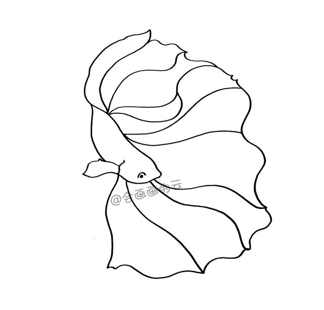 3款简笔画金鱼，零基础也可以画的线描画-8.jpg