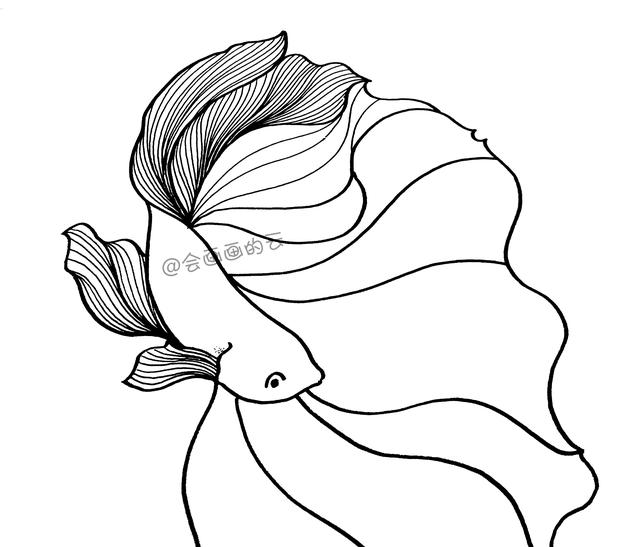 3款简笔画金鱼，零基础也可以画的线描画-10.jpg
