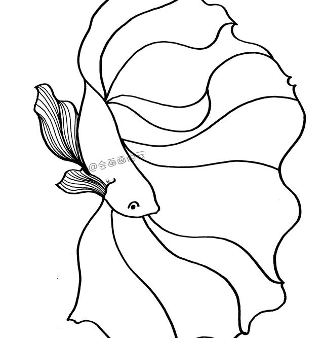 3款简笔画金鱼，零基础也可以画的线描画-9.jpg