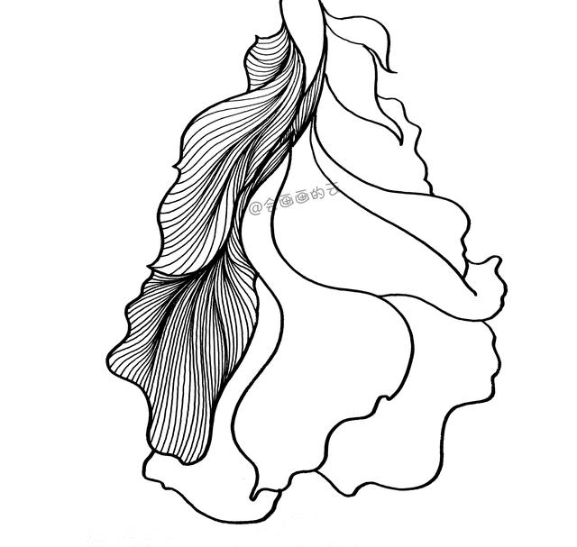3款简笔画金鱼，零基础也可以画的线描画-15.jpg