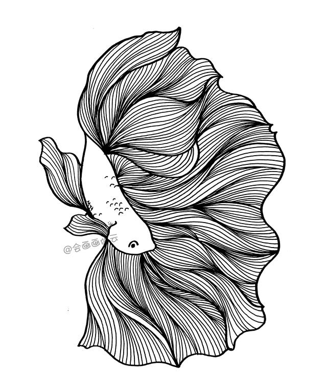 3款简笔画金鱼，零基础也可以画的线描画-12.jpg
