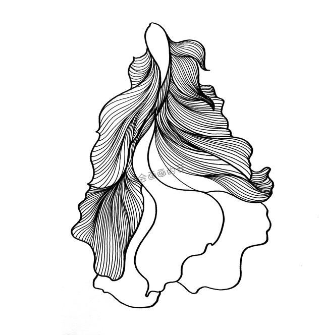 3款简笔画金鱼，零基础也可以画的线描画-16.jpg