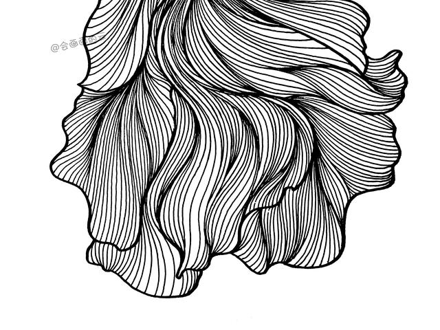 3款简笔画金鱼，零基础也可以画的线描画-19.jpg