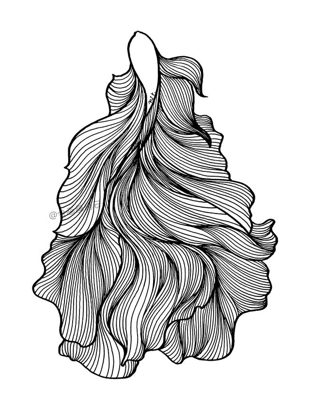 3款简笔画金鱼，零基础也可以画的线描画-18.jpg