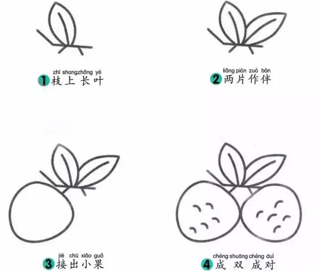 常见的水果简笔画大全，适合幼儿园和小学低年级小朋友，快收藏-41.jpg