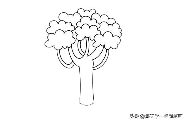 每天学一幅简笔画-- 大树简笔画画法步骤教程-4.jpg