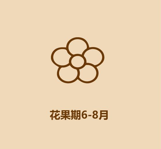 1分钟看完花生和牛奶-5.jpg