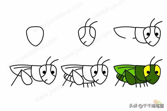 儿童简笔画：50组动物素材，简单易学，马住画起来！-23.jpg