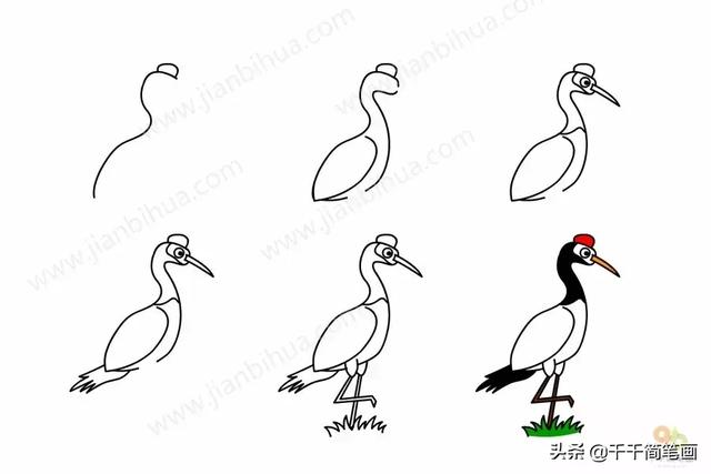 儿童简笔画：50组动物素材，简单易学，马住画起来！-38.jpg