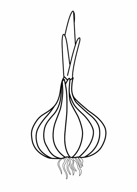 简笔画的高清临摹资料，在家教孩子画-4.jpg