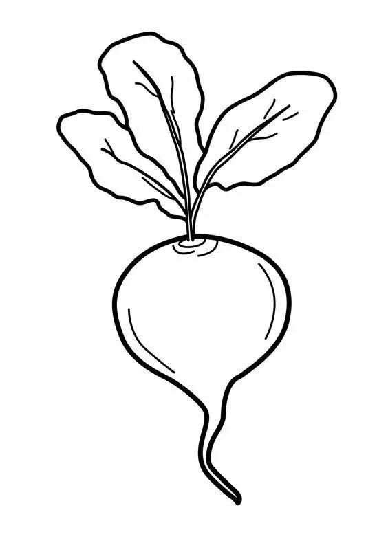 简笔画的高清临摹资料，在家教孩子画-5.jpg