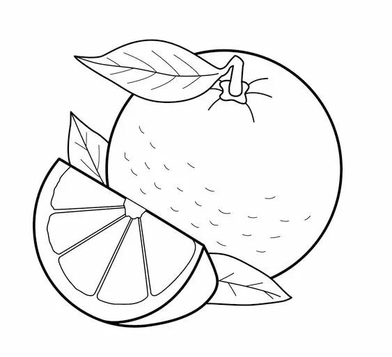 简笔画的高清临摹资料，在家教孩子画-13.jpg