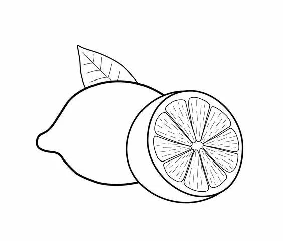 简笔画的高清临摹资料，在家教孩子画-17.jpg