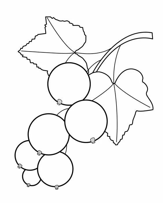简笔画的高清临摹资料，在家教孩子画-20.jpg