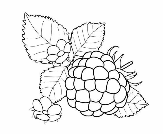 简笔画的高清临摹资料，在家教孩子画-18.jpg