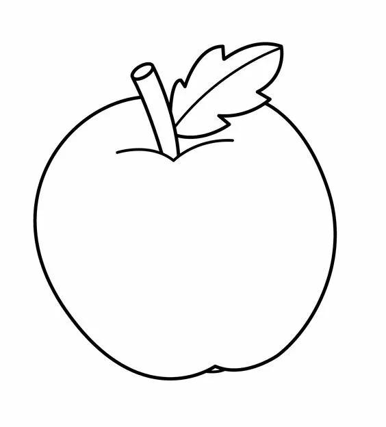 简笔画的高清临摹资料，在家教孩子画-21.jpg