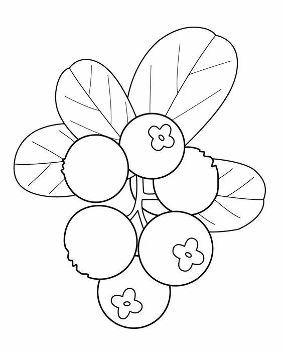 简笔画的高清临摹资料，在家教孩子画-31.jpg