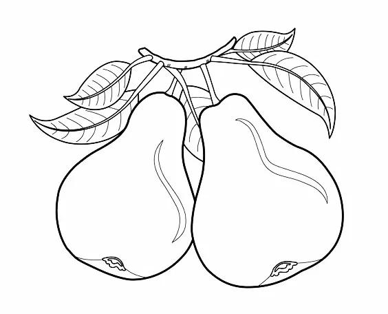 简笔画的高清临摹资料，在家教孩子画-34.jpg