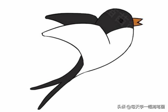 每天学一幅简笔画--超简单燕子简笔画的画法步骤图片大全-17.jpg