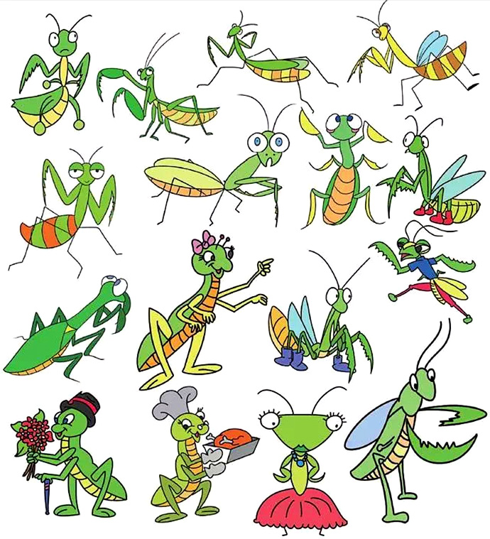 各种昆虫毛毛虫的简笔画，做手账练画画备用-6.jpg