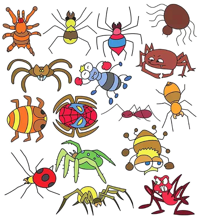 各种昆虫毛毛虫的简笔画，做手账练画画备用-5.jpg