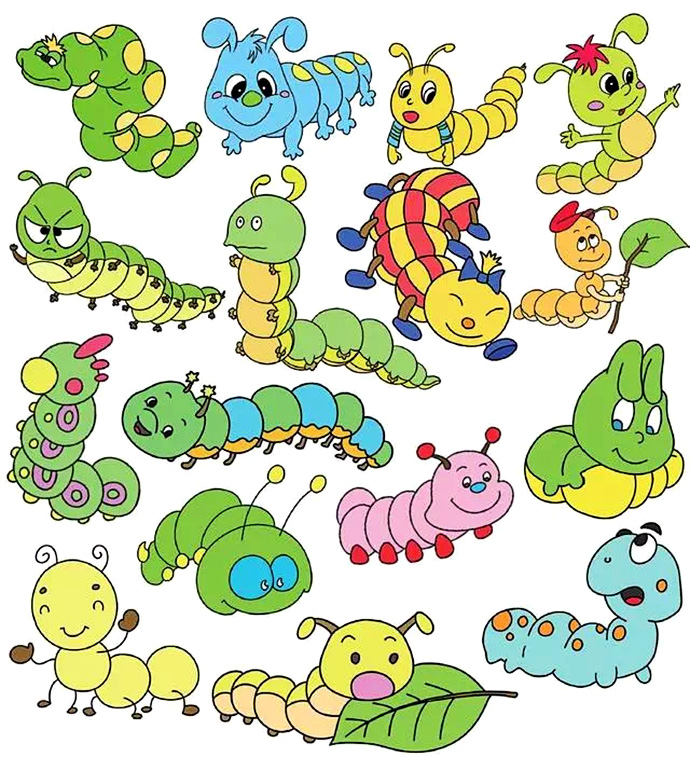 各种昆虫毛毛虫的简笔画，做手账练画画备用-7.jpg
