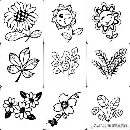 5分钟简笔画速成，快和我一起画起来吧～「挤眼」-4.jpg