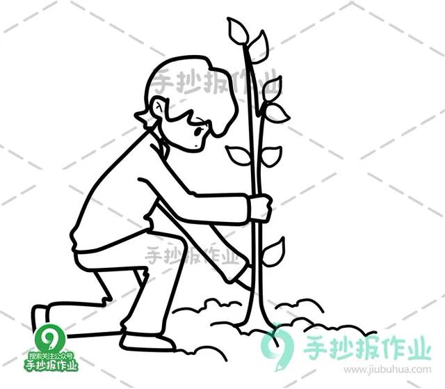312植树节简笔画合集，最新植树节简笔画模板都在这里啦-5.jpg