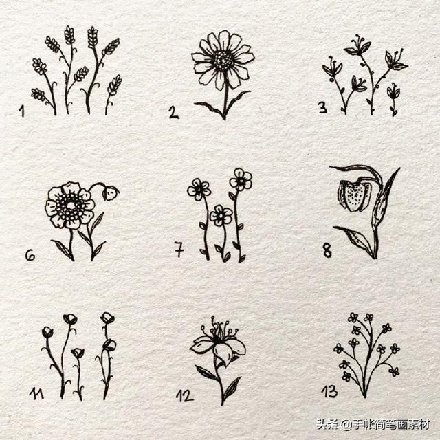 春天到了，小花小草手绘简笔画素材哦-7.jpg