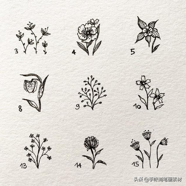 春天到了，小花小草手绘简笔画素材哦-6.jpg
