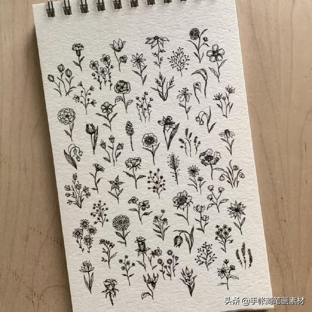 春天到了，小花小草手绘简笔画素材哦-5.jpg
