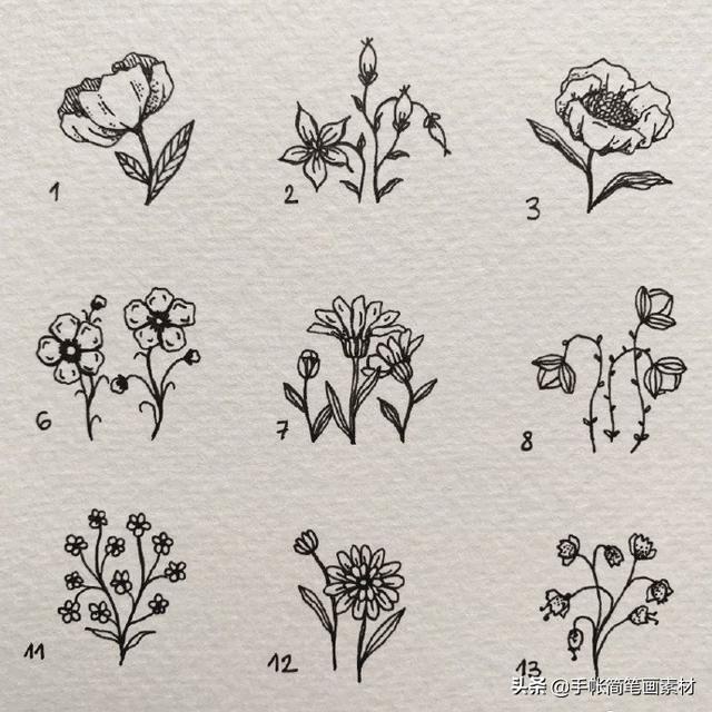 春天到了，小花小草手绘简笔画素材哦-4.jpg