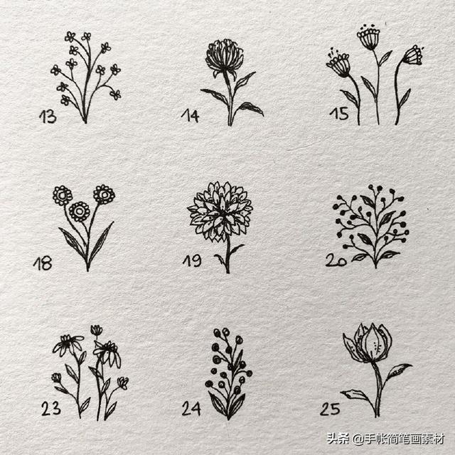 春天到了，小花小草手绘简笔画素材哦-8.jpg