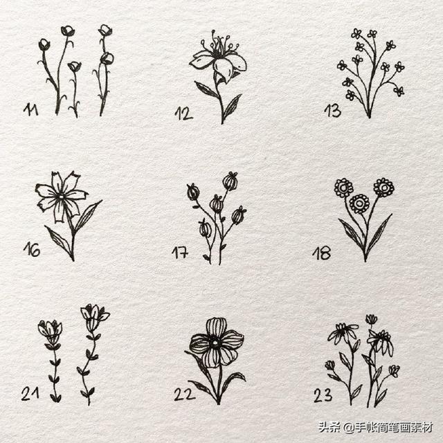 春天到了，小花小草手绘简笔画素材哦-9.jpg