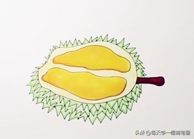 每天学一幅简笔画-教你画水果之王榴莲简笔画步骤-7.jpg