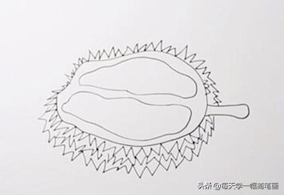 每天学一幅简笔画-教你画水果之王榴莲简笔画步骤-5.jpg