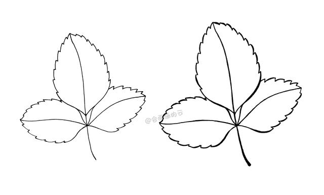 9款简笔画叶子，手残党福利，一支笔就可以画-10.jpg