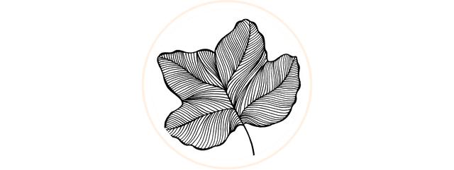 9款简笔画叶子，手残党福利，一支笔就可以画-20.jpg