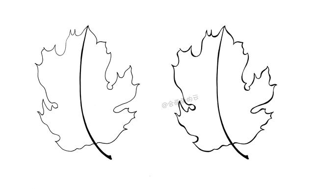 9款简笔画叶子，手残党福利，一支笔就可以画-33.jpg